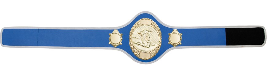MMA CHAMPIONSHIP BELT-PRO286/G/MMAG-10+ COLOURS